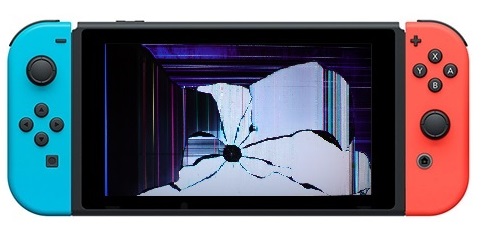 Nintendo Switch Display defekt