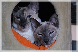 Lily und Yuki