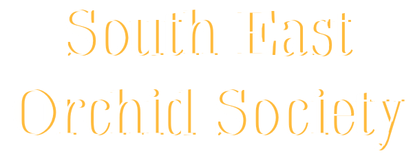 SouthEastOrchidSociety