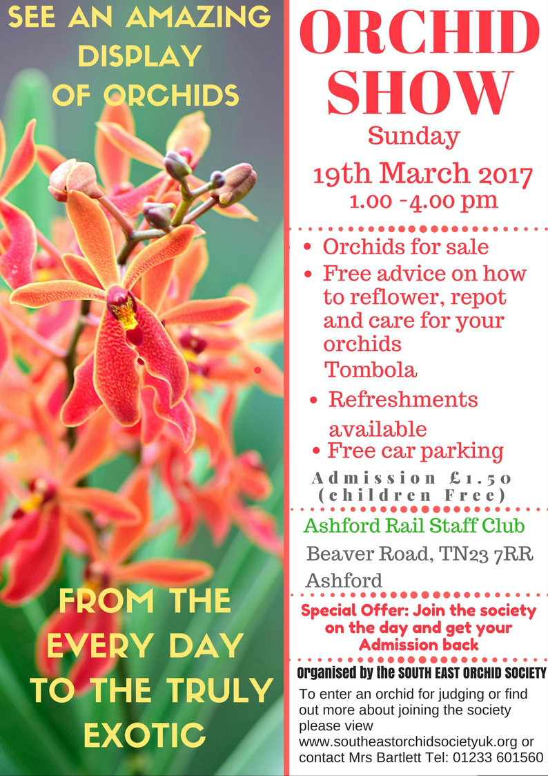 South East Orchid Society Spring Show 2017