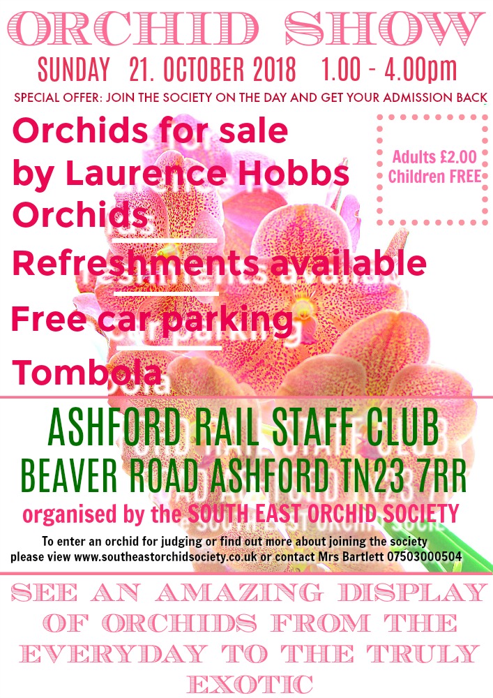 Autumn Show South East Orchid Society in Ashford / Kent