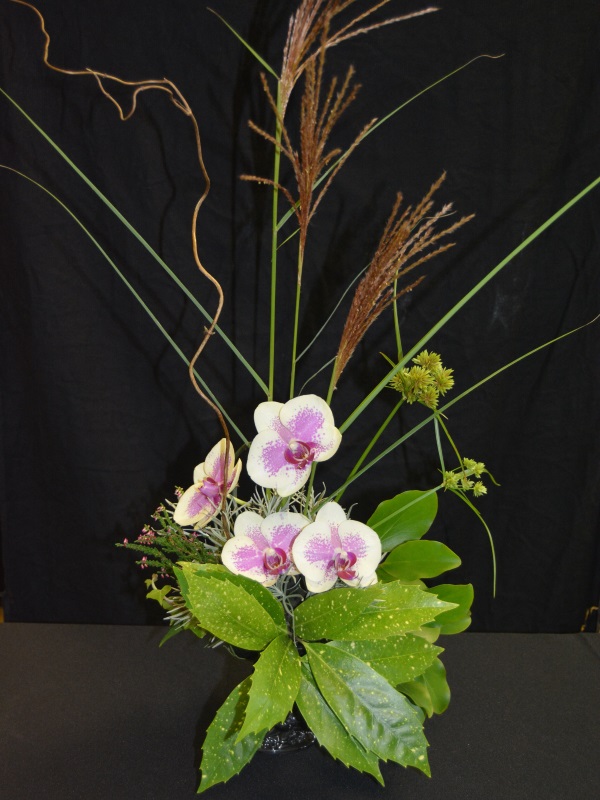 Arrangement including Phalaenopsis