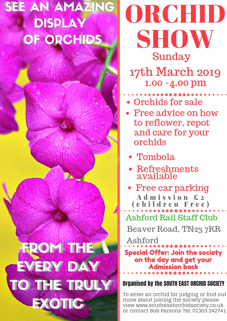 Spring Show South East Orchid Society 2019