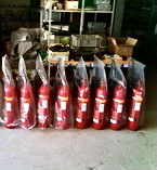 Feuerlöscherservice, Feuerlöscherkontrolle, Feuerlöscherwartung, Feuerlöscher, Schaumlöscher, Leichtwasser, Pulver, Kohlensäure, Preis, Löschposten, Feuerlöschposten, Feuerwehrschlauch, Strahlrohr, Schlauchhaspel, Fluchtwegschilder, Region Basel, Schweiz