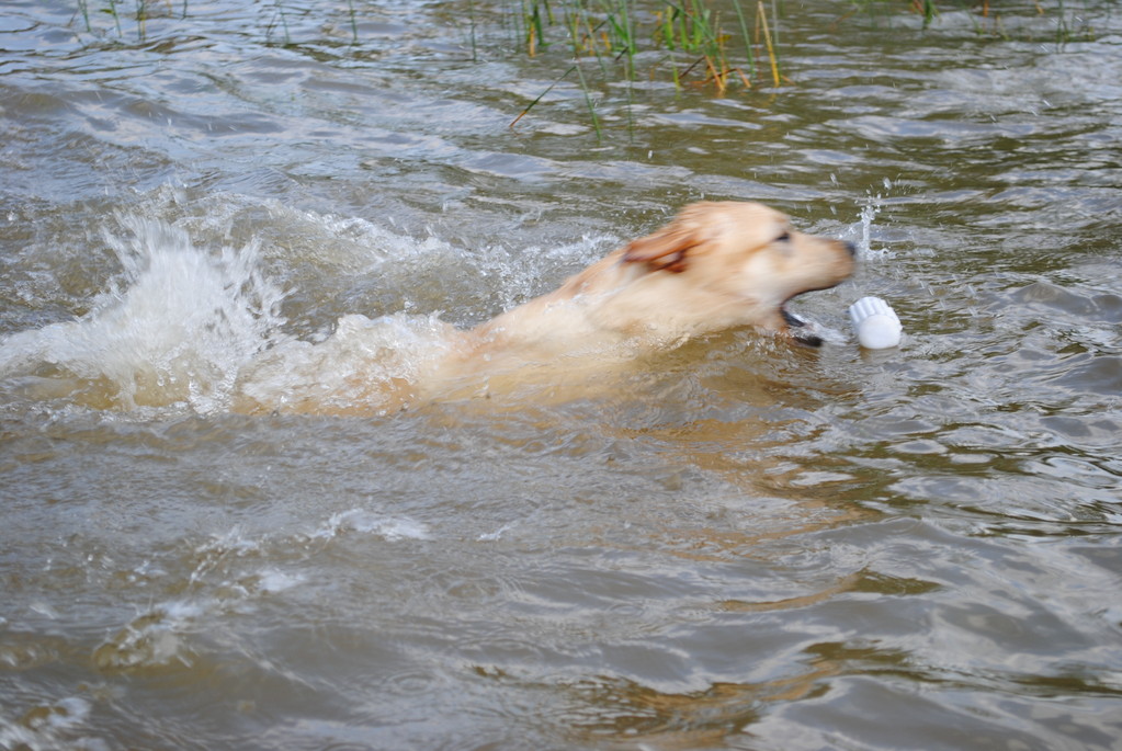 Athéna de Monpaq en pratique pour le rapport dans l'eau