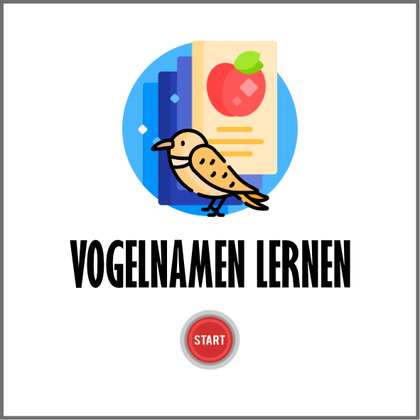 Vogelnamen lernen mit Flipkarten