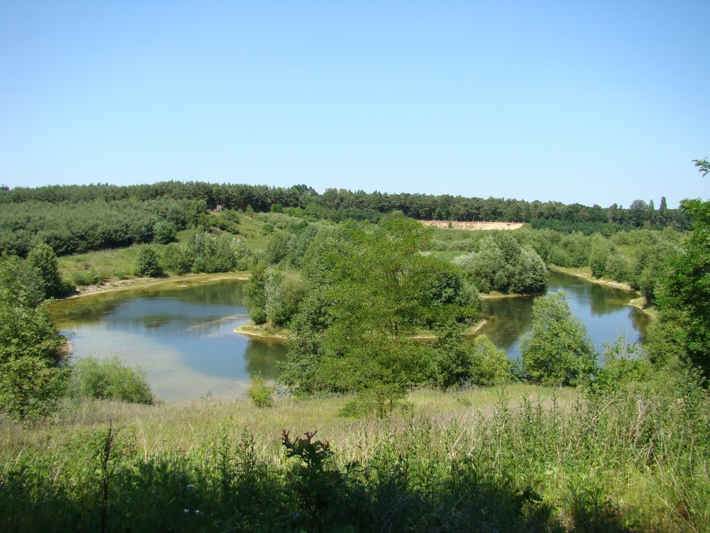 Ein Blick von oben in das Biotop