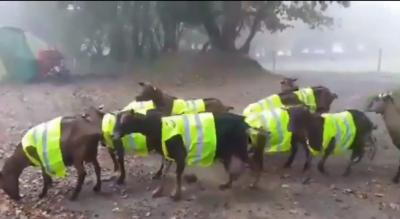 Les gilets jaunes mécontents de leurs joueurs devant la Commandanderie...