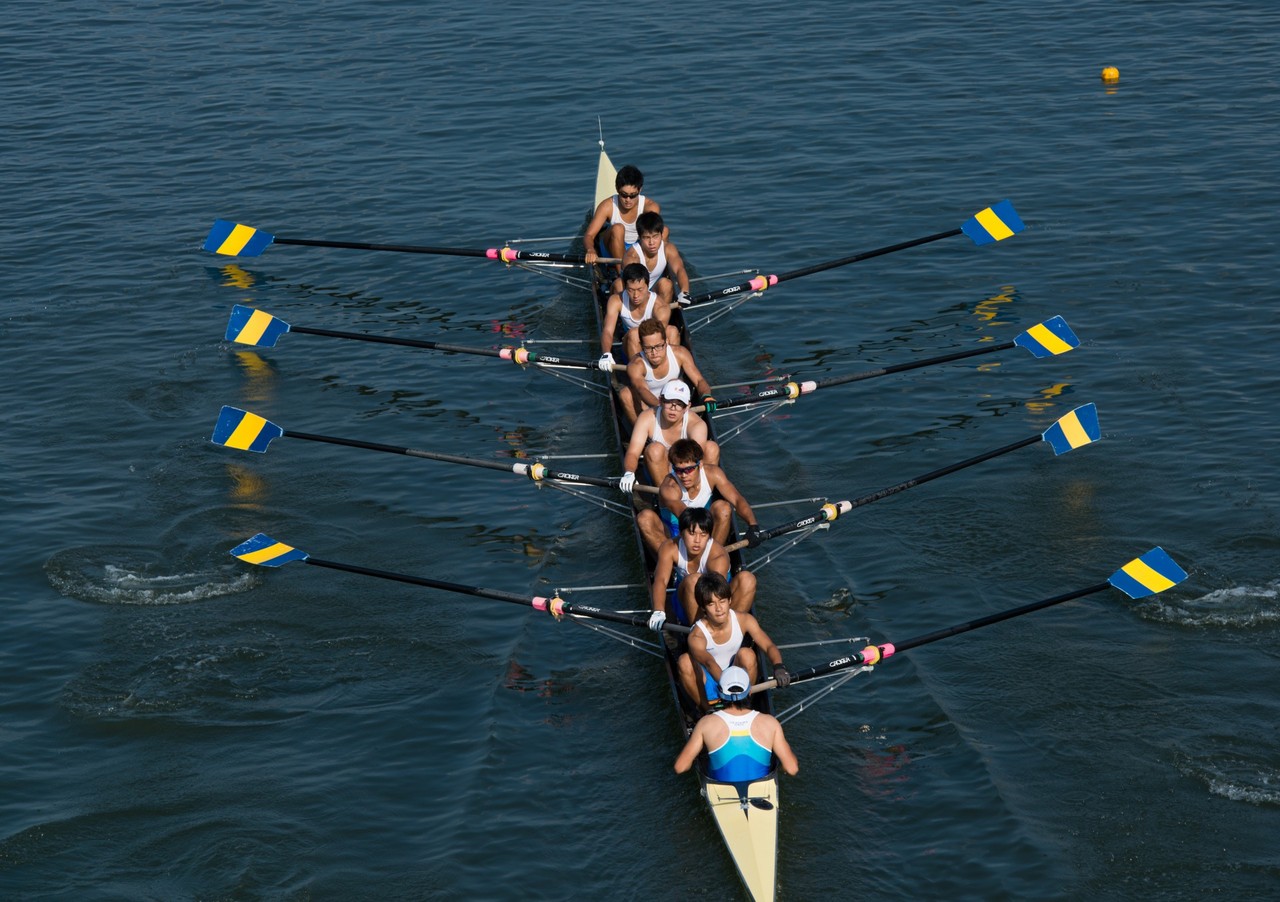 The Rowing 、ローイング、ボート競技、漕艇。シート形の