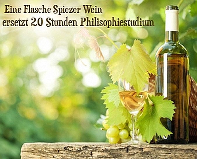 Eine Flasche Spiezer Wein, ersetzt 20 Stunden Philisophiestudium