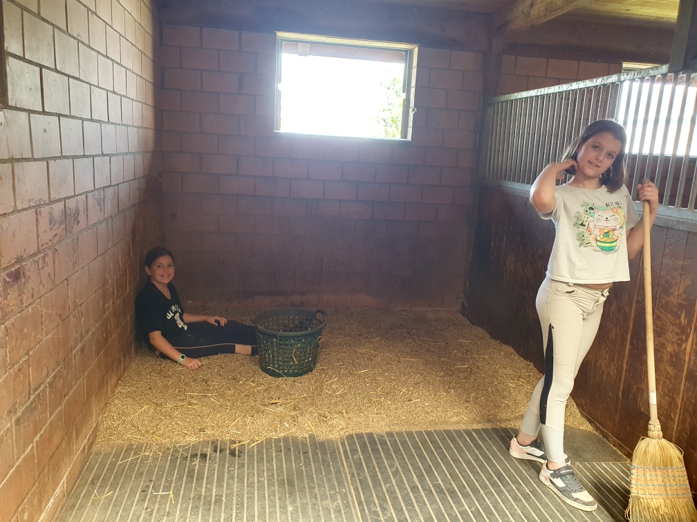 Stallarbeiten 