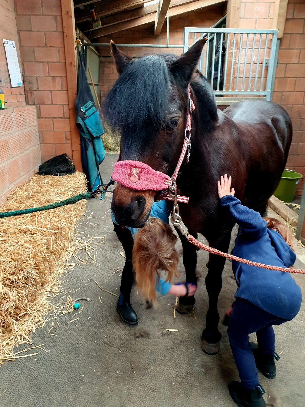 Ponys putzen