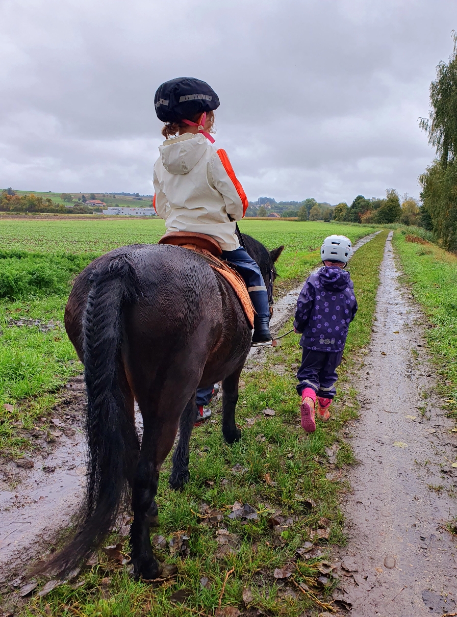 Ausreiten bei Wind und Wetter