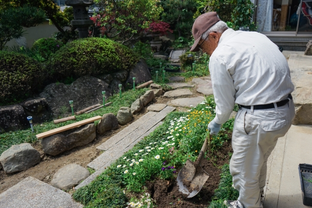美作市で春野菜の苗植えスタート！しゃがみっぱなしで固まった股関節、伸ばしに来ませんか？