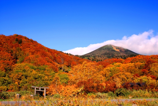 紅葉シーズンの疲れをリセット｜美作市で「整える秋」を過ごしませんか？