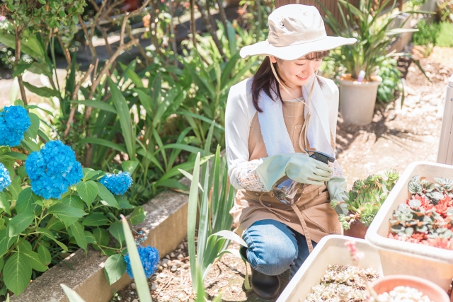 赤磐市で春の家庭菜園シーズン到来！しゃがみ作業でこわばった股関節、ケアしていますか？