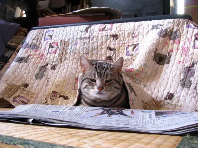 赤磐市でこたつ猫背が仕事始めを重くする？ お正月の丸まり姿勢をリセットして、新年を軽やかにスタート