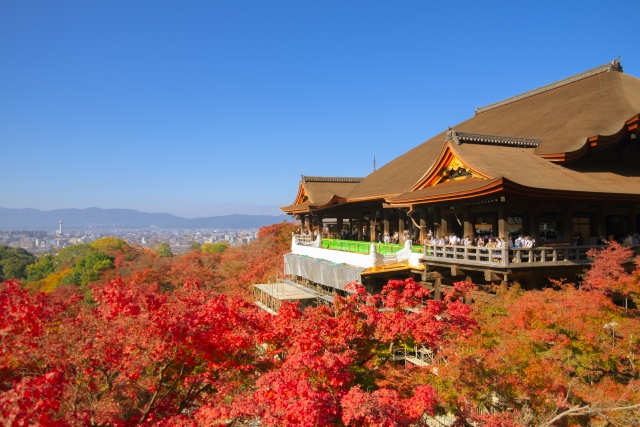 赤磐の秋を快適に楽しむために｜紅葉シーズンの疲れを整体で整える