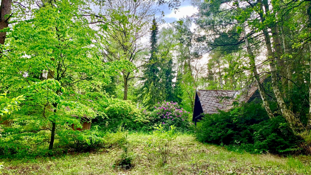 Waldhäusle in der Lüneburger Heide