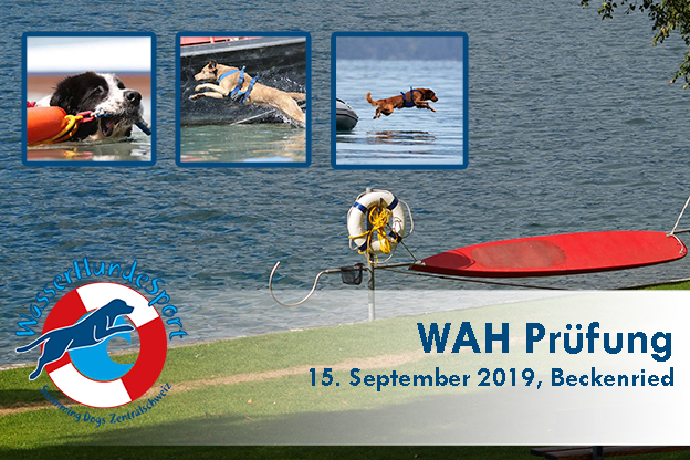 WAH Prüfung 2019