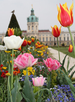 Barockgarten Schlosspark Charlottenburg