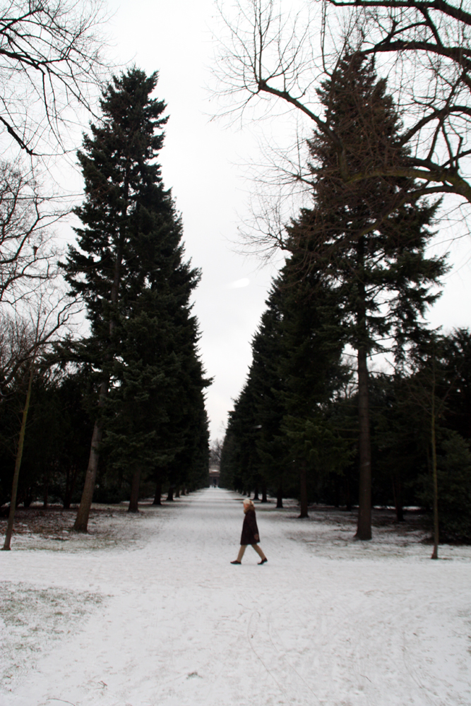 Baumallee zum Mausoleum im Winter im Schlossgarten Charlottenburg. Foto: Helga Karl Januar 2009