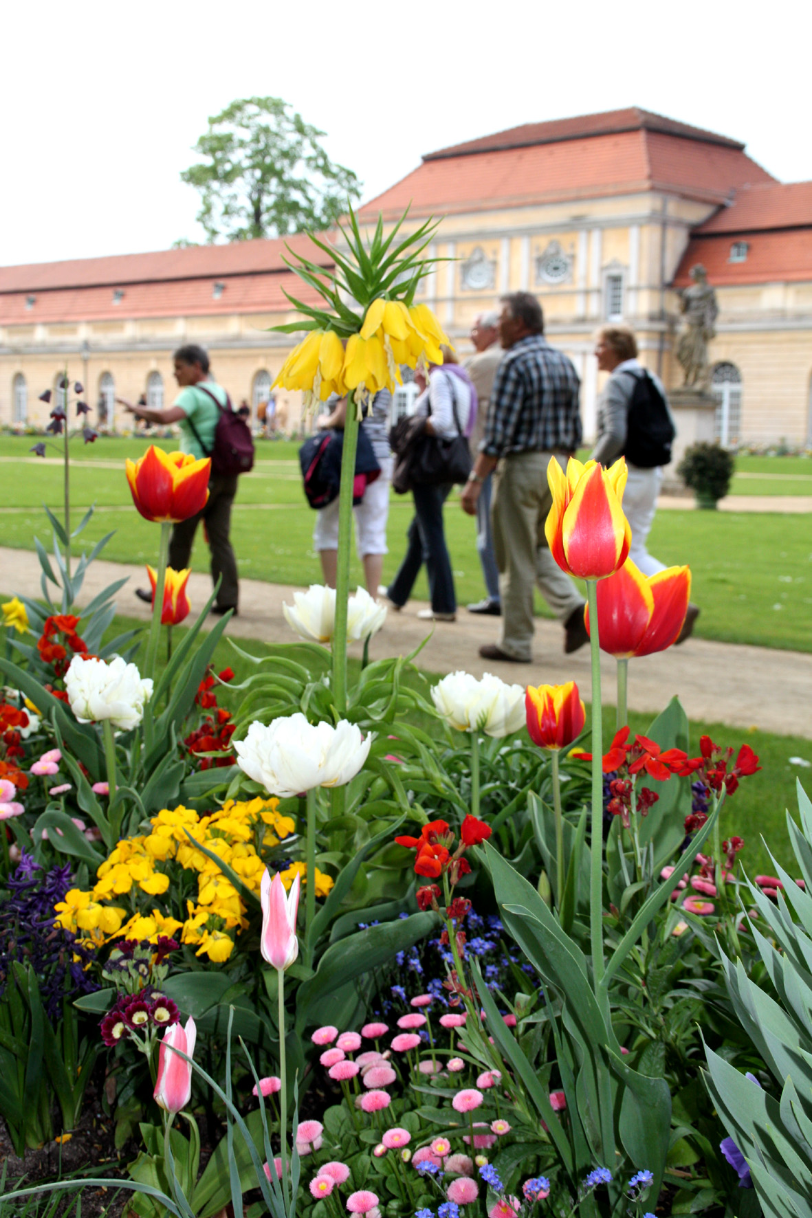 Frühlingsbepflanzung Schlossgarten Charlottenburg