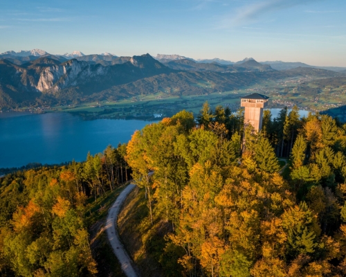 Aussichtsturm auf bewaldetem Hügel mit Blick auf den Mondsee und die Alpenlandschaft