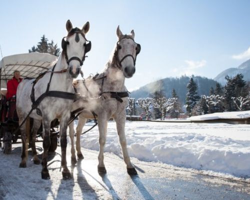 Winterliche Kutschenfahrt rund um Bad Ischl