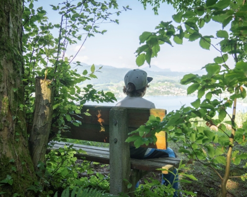Holzbank im Wald mit Blick auf den Mondsee und die ruhige Naturlandschaft im Salzkammergut