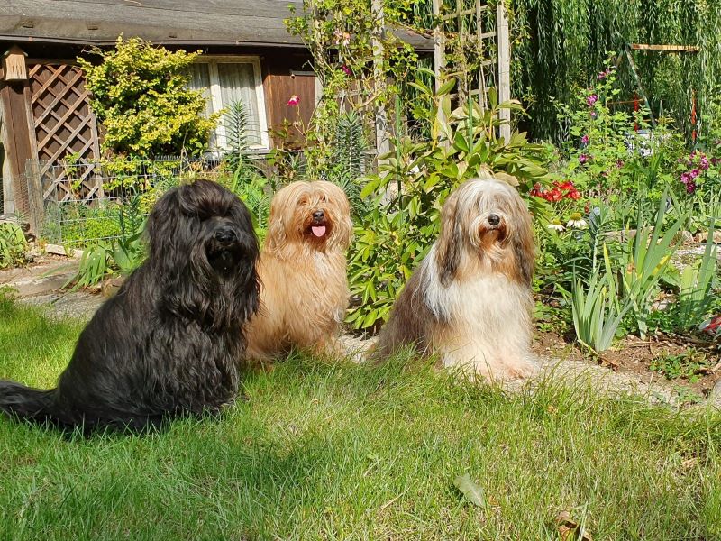 Yeshi, Bya-ra und Milka