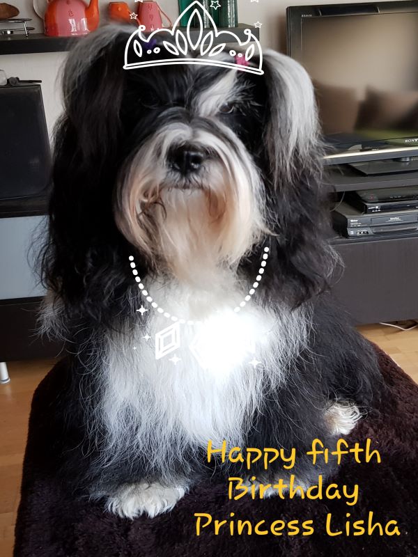 Happy Birthday Lisha!