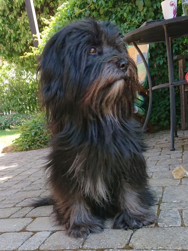 Sam