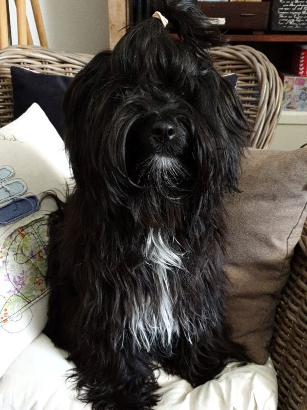 Prinzessin Mia (J-Wurf)