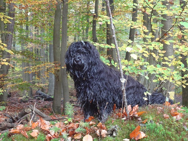 Yeshi im November 2014