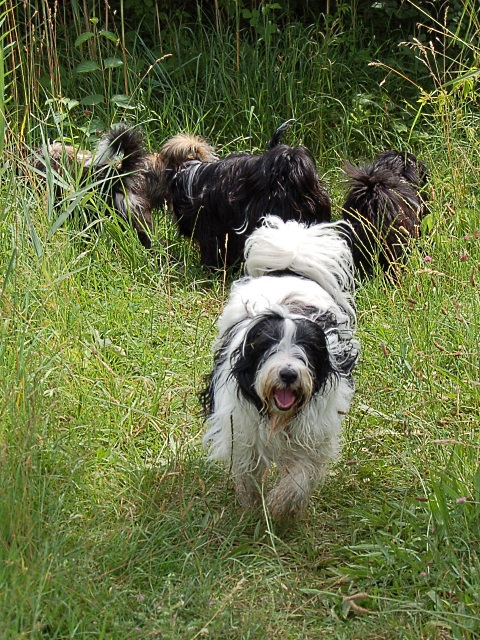 Juni in Karlsruhe: Max