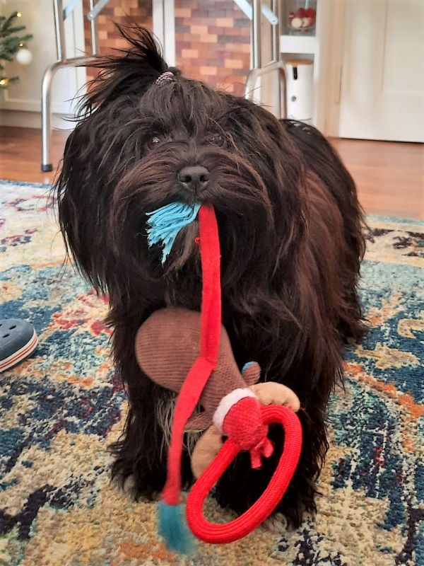 Mia (J)