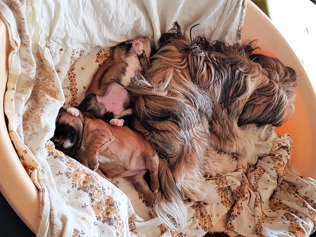 Immer bei den Babys - 07/2018 