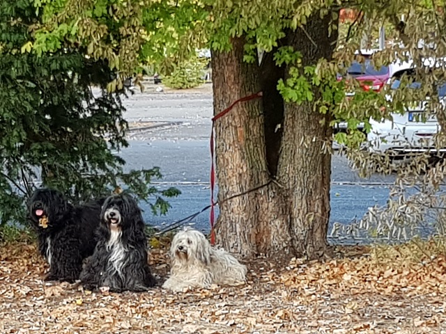 Das dauert aber echt bis die Kleine fotografiert ist :-/