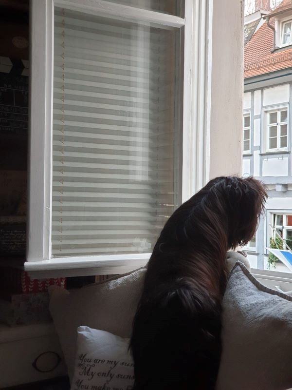Mia hat alles im Blick