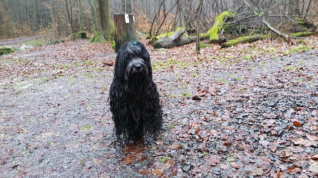 Regenwetter ohne Ende und Yeshi mitten drin