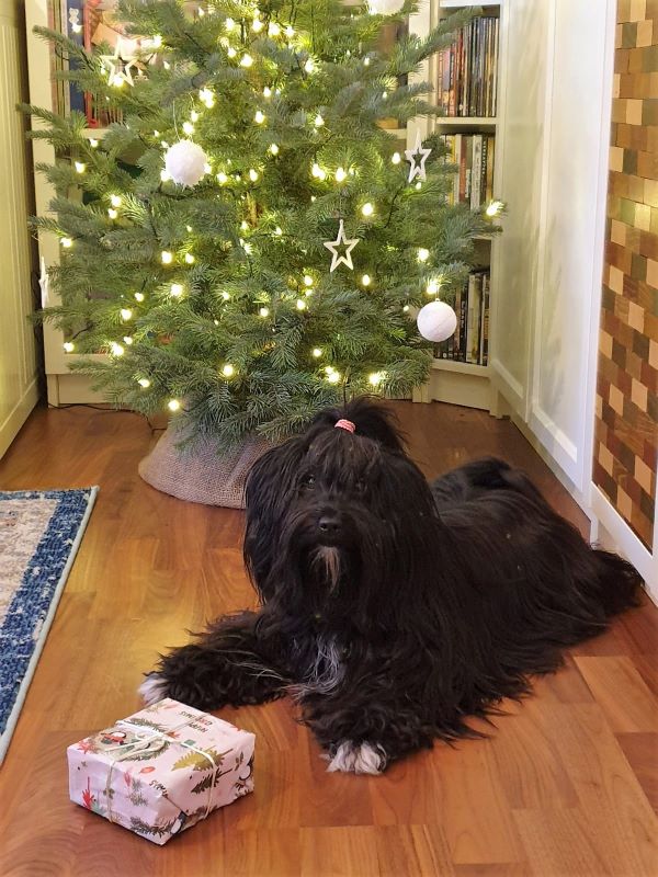 Mia (J)
