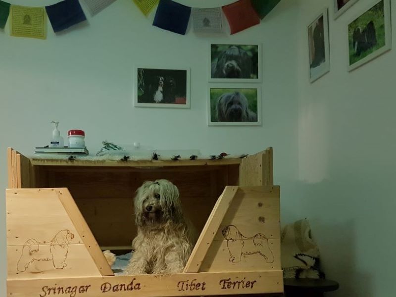 Knapp zwei Stunden nach der Geburt - so eine stolze Mama!
