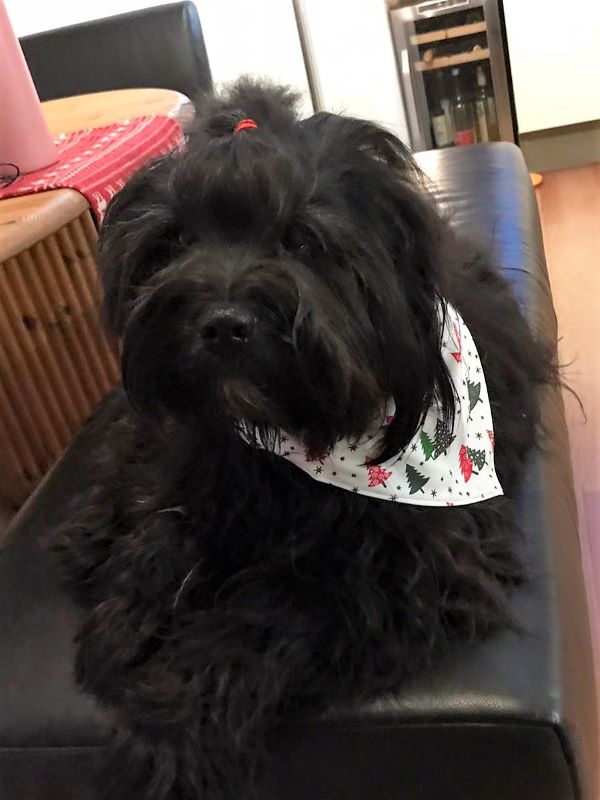 Pepper (J)