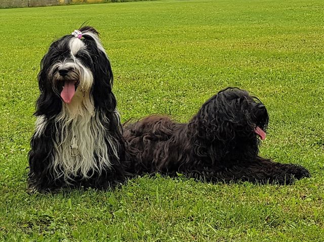 Lisha und Sohn Santi (20 Monate)