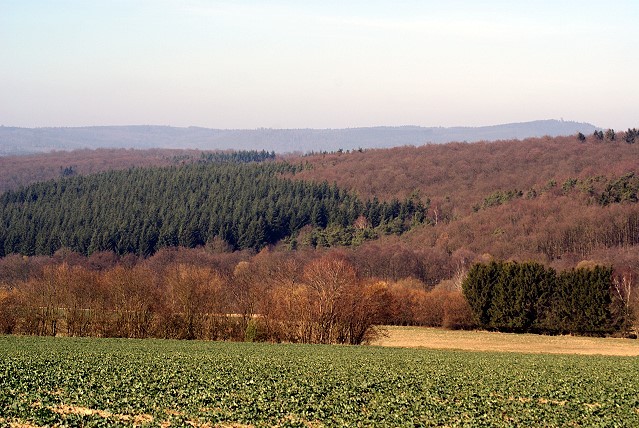 Landschaft im Hintertaunus