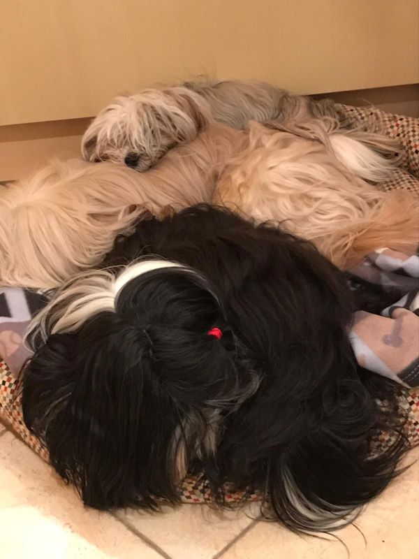 Linchen mit ihren Jungs bei  Kuscheln