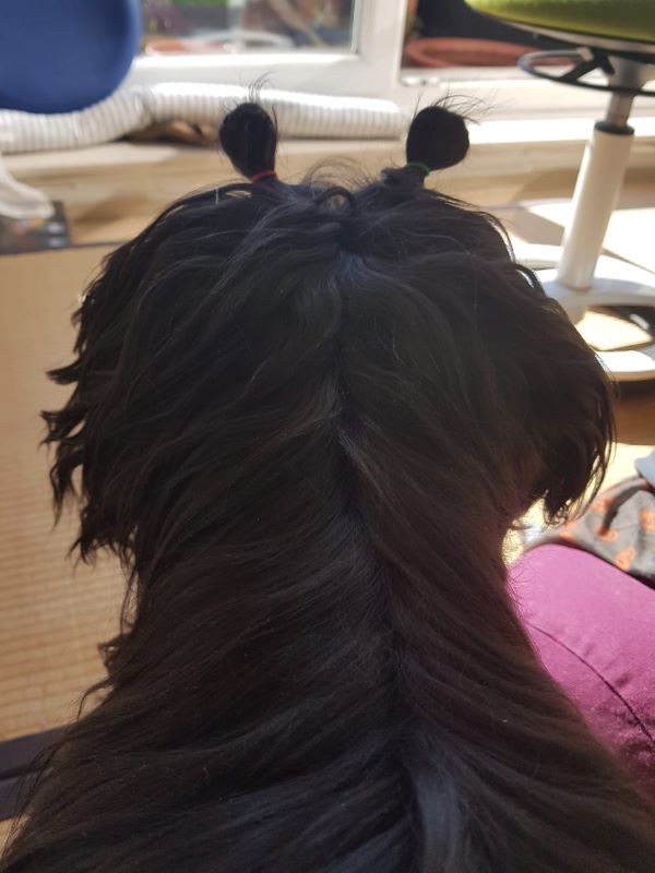 Jobi (J-Wurf)