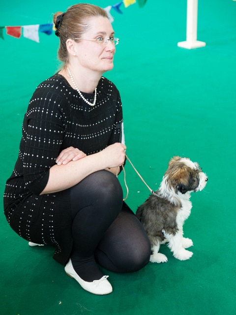 Tibet Dog Show Egnach/Ch 18 mit 15 Wo. in der Puppyklasse