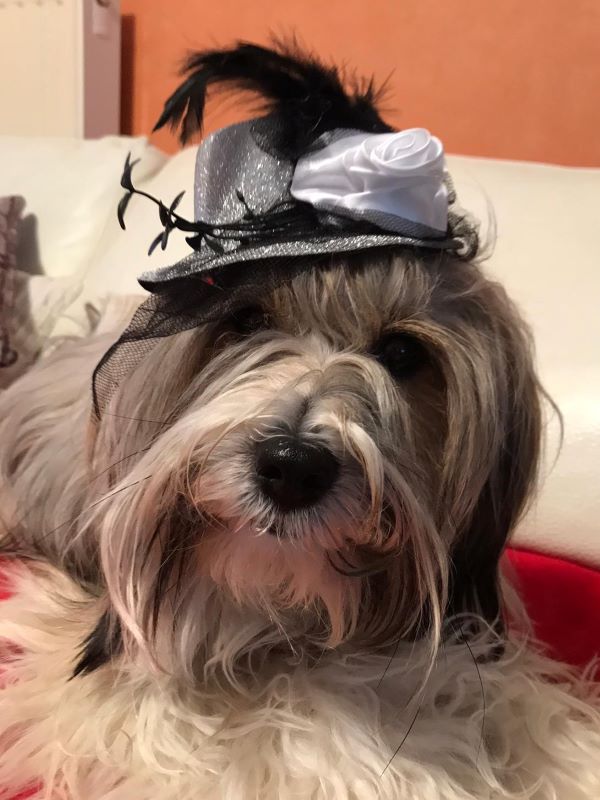 Li-na ganz chic...